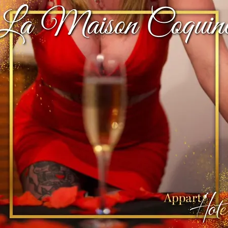 La Maison Coquine Bethune Exterior photo